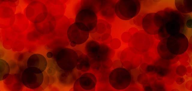 Blood cells under a microscope